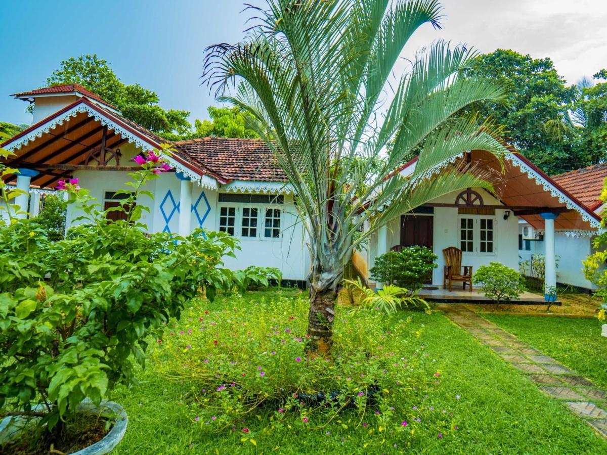 La Villa Flor Negombo Ngoại thất bức ảnh